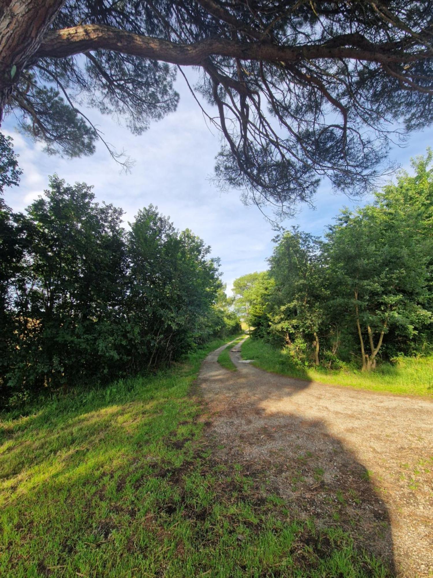 Ferme Ariegeoise, Gite Du Lac Unzent المظهر الخارجي الصورة